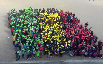 #ELTESORODESENEGAL | Bandera senegalesa gigante