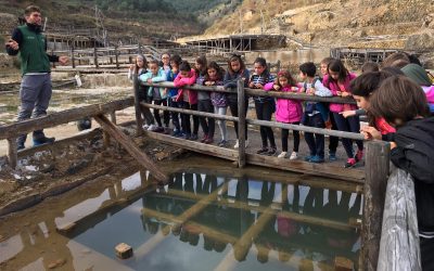 5º EPO| Descubriendo Salinas